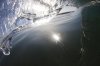 20100715-_mg_3744.jpg
