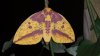 20140522_003654.jpg