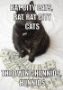 rat-city-cats-meme-generator-rat-city-cats-rat-rat-city-cats-throwing-hunnids-hunnids-3350e3.jpg