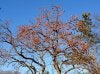 IMG_0431.jpg