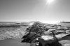 100_007222.jpg