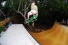 Lien to Tail.jpg