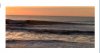 surfing 3.jpg