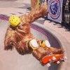 chewyskate_zps5d72fe7f.jpg