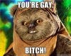 Gay Bitch Ewok.jpg