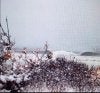 LBNY1_27.JPG