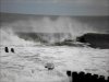 party wave 4.jpg