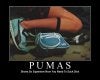 Pumas.jpg