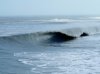 late winter 054.jpg