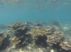 GOPR0071.jpg