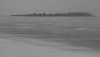 Assateague.jpg