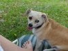 Peanut1.jpg