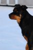 DSC_0033.jpg