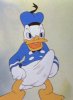 Donald.jpg