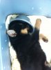 baby mapes 2.jpg