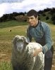 sheep_humping_.jpg