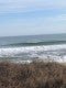 Wave Maven