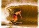 FFSurfer44