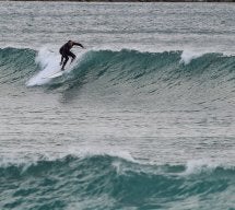 woodysurfer