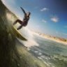fins369