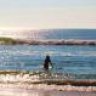 ripsurfin