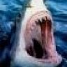 GreatWhiteShark