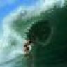 fl.surfdog