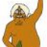 RIsurfer