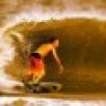 FFSurfer44