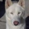 BlessedBePoseidon
