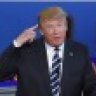 Donald J Trump