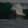 Wavetucker