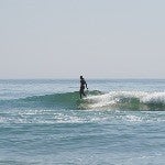 lowtidescents's avatar