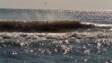 Danny. Virginia Beach / OBX, Bodyboarding photo