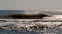 Danny. Virginia Beach / OBX, Empty Wave photo