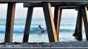 Juno Beach Pier 3-27-11
Juno Beach Pier Dawn Patrol