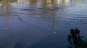 Flood Perfection
perfect miniature waves. New Jersey, Empty Wave photo