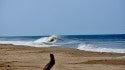 Saturday, 9/3
New England. Northern New England, Empty Wave photo