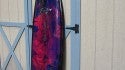 Phil Taylor Handcrafted Surfboards
Endless Summer Surf