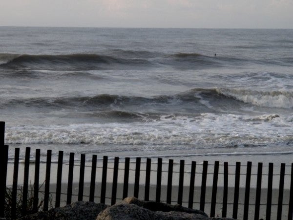Folly
June morning. South Carolina, Empty Wave photo