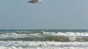 Quintana Beach
10-13-08. North Texas, surfing photo