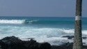 Kona Daze!
Kona Daze!. United States, Surfing photo
