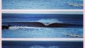 12-15
Deal, NJ - 12/15/13. New Jersey, Empty Wave photo