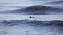 winter peak. New York, Empty Wave photo