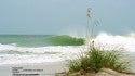 SAM'S GULF COAST
THUMPER. West Florida, Empty Wave photo