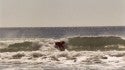 005 32a 371523
2-3ft. Southern NC, Surfing photo