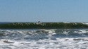 BURKE'S BEACH, HHI
October 2nd, 2011 Burkes Beach Hilton