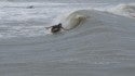 Galveston Surf
Saw these guys surfin it up last time