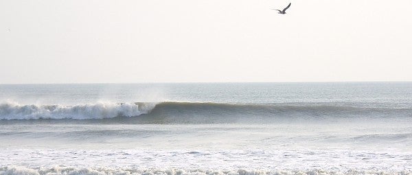 irene
ormond bch. North Florida, Surfing photo