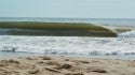 Nice  wave from 4/17/17. Delmarva, Empty Wave photo